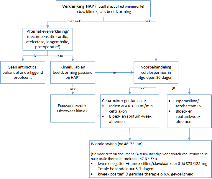 Stroomschema verdenking HAP